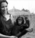 Rebeca Atencia con un chimpancé de la reserva de Tchimpounga - Fuente: Obra Social La Caixa